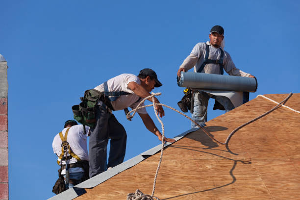 Best Gutter Installation and Roofing  in Hearne, TX